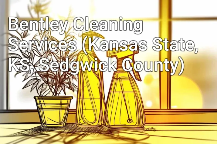 Bentley Cleaning Services (Kansas State, KS, Sedgwick County)