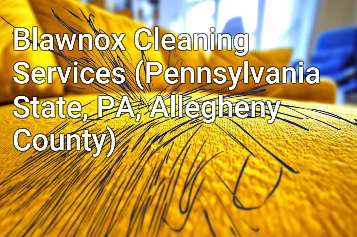 Blawnox Cleaning Services (Pennsylvania State, PA, Allegheny County)