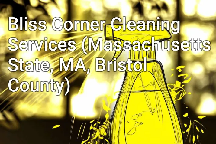 Bliss Corner Cleaning Services (Massachusetts State, MA, Bristol County)