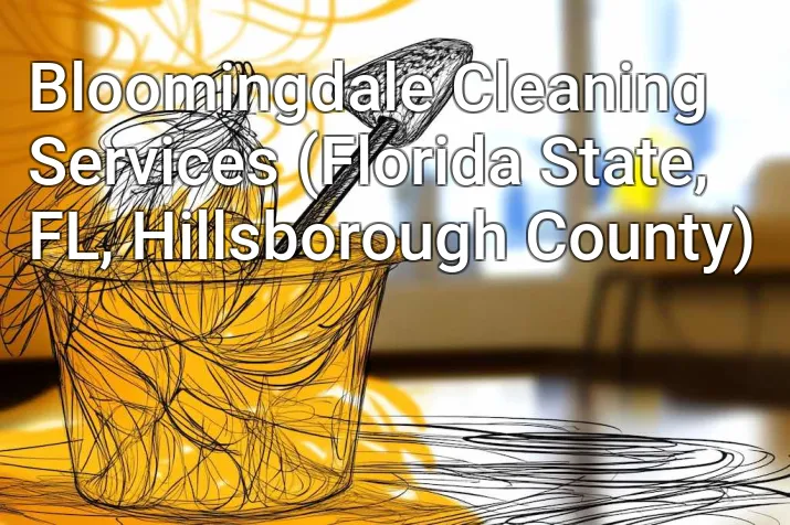 Bloomingdale Cleaning Services (Florida State, FL, Hillsborough County)