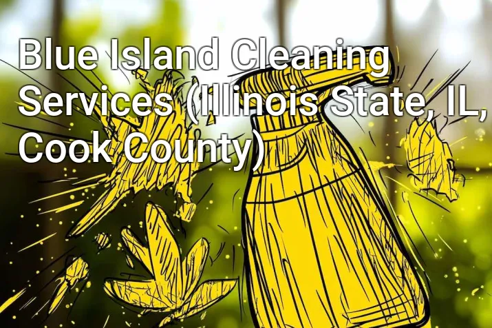 Blue Island Cleaning Services (Illinois State, IL, Cook County)