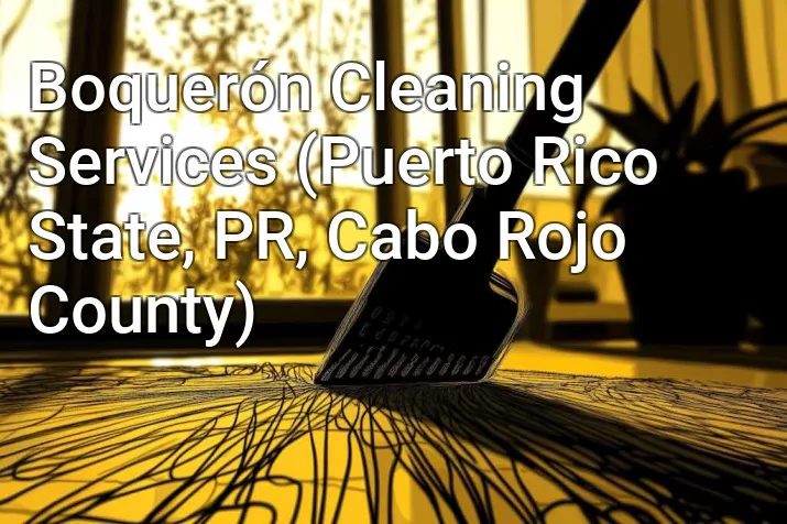 Boquerón Cleaning Services (Puerto Rico State, PR, Cabo Rojo County)