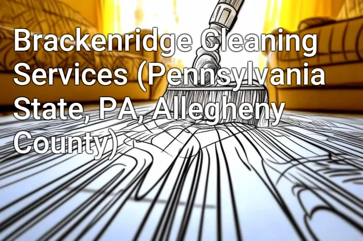 Brackenridge Cleaning Services (Pennsylvania State, PA, Allegheny County)