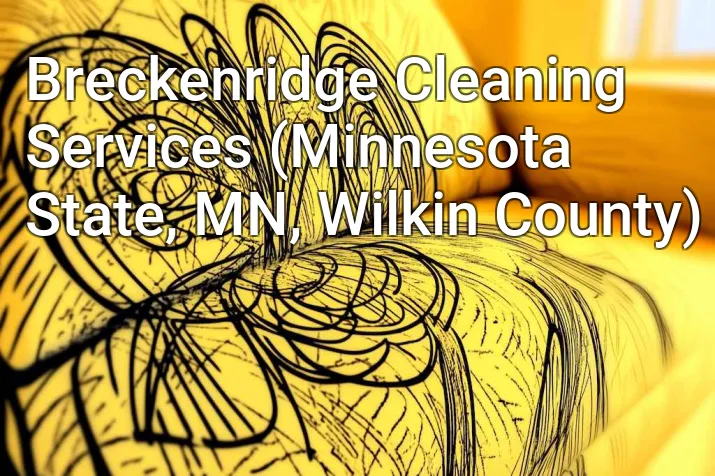 Breckenridge Cleaning Services (Minnesota State, MN, Wilkin County)