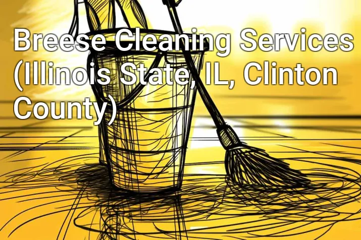 Breese Cleaning Services (Illinois State, IL, Clinton County)