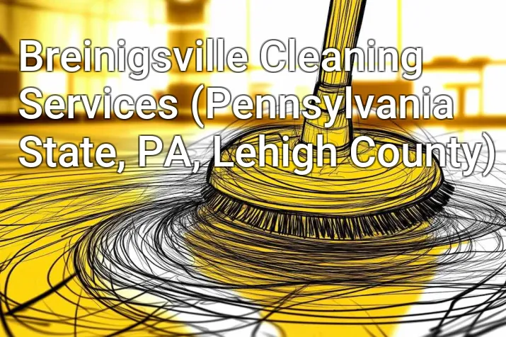 Breinigsville Cleaning Services (Pennsylvania State, PA, Lehigh County)
