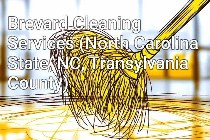 Brevard Cleaning Services (North Carolina State, NC, Transylvania County)