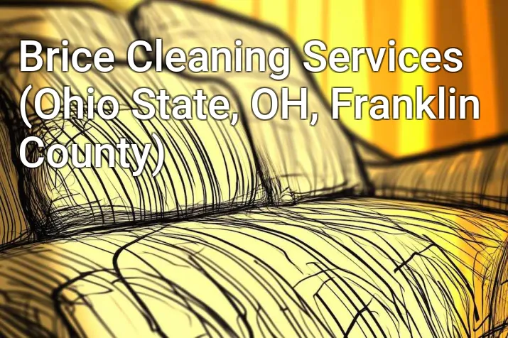 Brice Cleaning Services (Ohio State, OH, Franklin County)