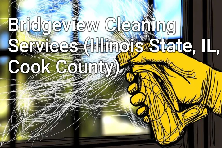 Bridgeview Cleaning Services (Illinois State, IL, Cook County)