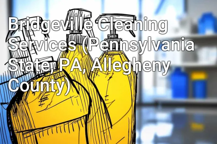 Bridgeville Cleaning Services (Pennsylvania State, PA, Allegheny County)