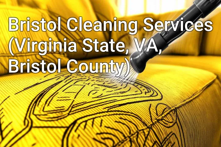 Bristol Cleaning Services (Virginia State, VA, Bristol County)