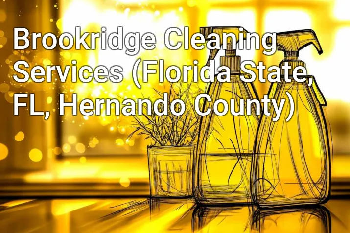 Brookridge Cleaning Services (Florida State, FL, Hernando County)