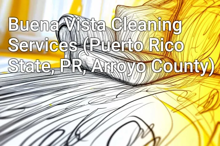 Buena Vista Cleaning Services (Puerto Rico State, PR, Arroyo County)