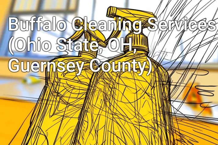 Buffalo Cleaning Services (Ohio State, OH, Guernsey County)