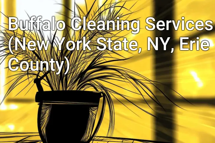 Buffalo Cleaning Services (New York State, NY, Erie County)