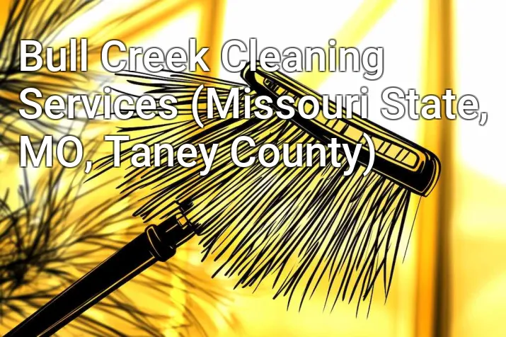 Bull Creek Cleaning Services (Missouri State, MO, Taney County)