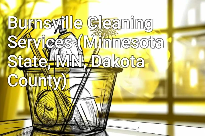 Burnsville Cleaning Services (Minnesota State, MN, Dakota County)