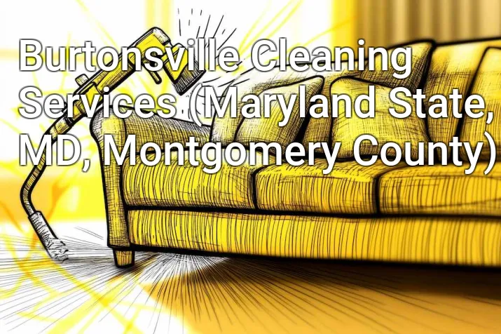 Burtonsville Cleaning Services (Maryland State, MD, Montgomery County)