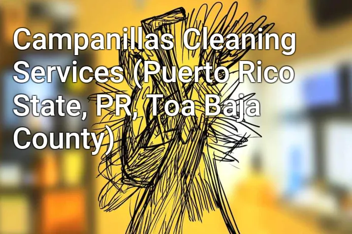 Campanillas Cleaning Services (Puerto Rico State, PR, Toa Baja County)