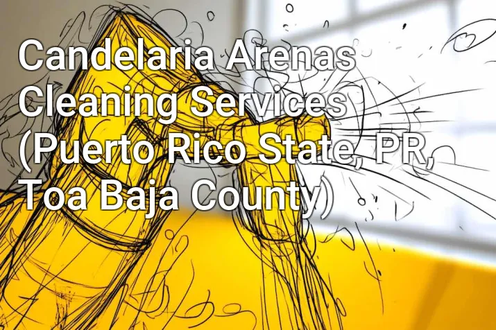 Candelaria Arenas Cleaning Services (Puerto Rico State, PR, Toa Baja County)