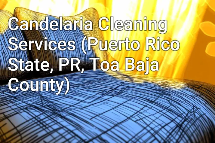 Candelaria Cleaning Services (Puerto Rico State, PR, Toa Baja County)