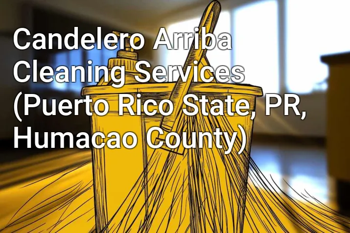 Candelero Arriba Cleaning Services (Puerto Rico State, PR, Humacao County)