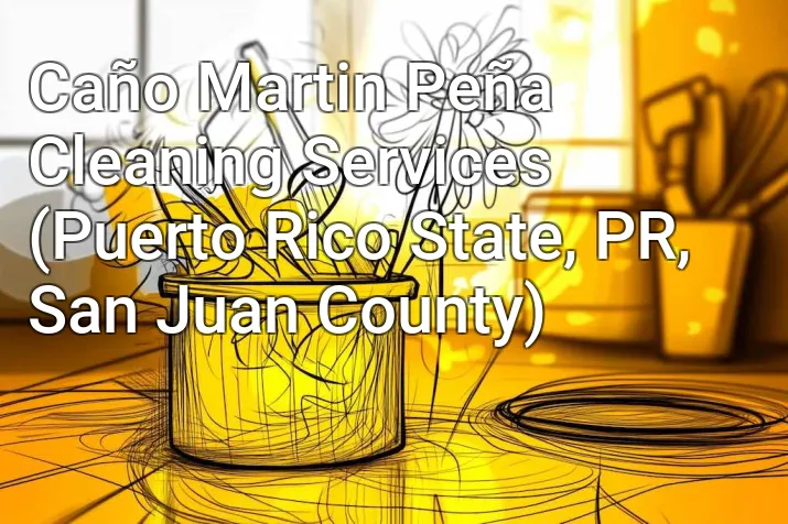 Caño Martin Peña Cleaning Services (Puerto Rico State, PR, San Juan County)