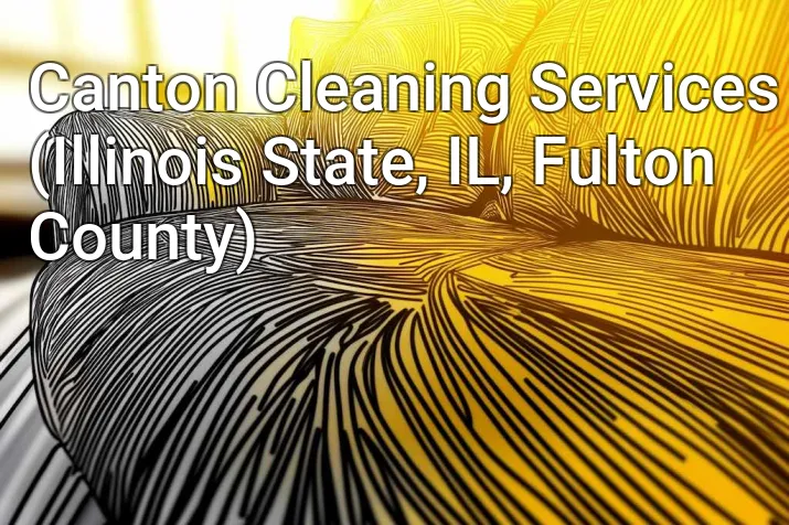 Canton Cleaning Services (Illinois State, IL, Fulton County)