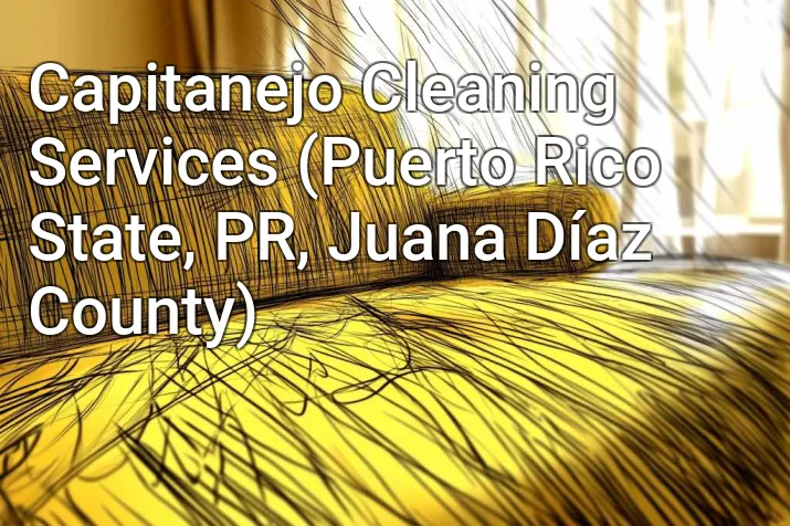 Capitanejo Cleaning Services (Puerto Rico State, PR, Juana Díaz County)
