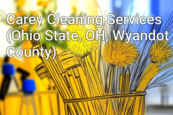 Carey Cleaning Services (Ohio State, OH, Wyandot County)