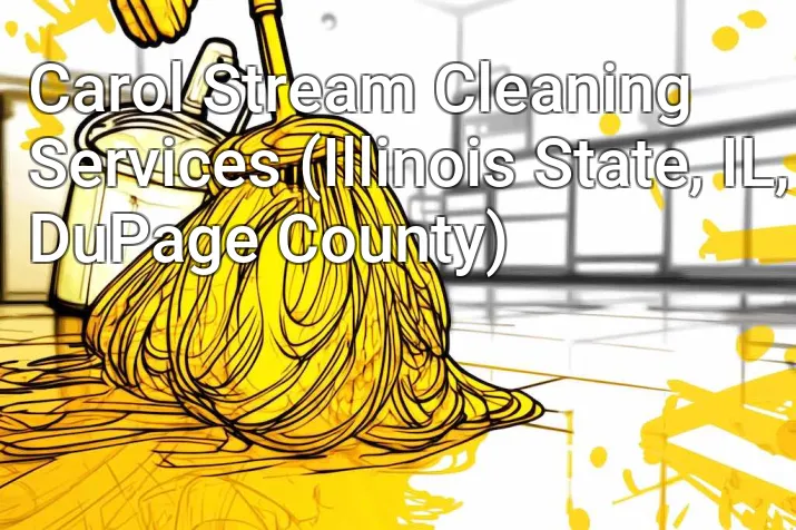 Carol Stream Cleaning Services (Illinois State, IL, DuPage County)