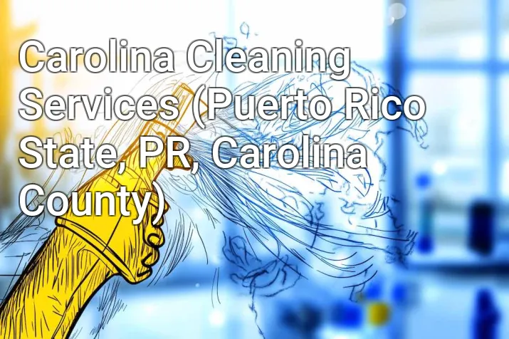 Carolina Cleaning Services (Puerto Rico State, PR, Carolina County)