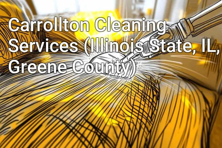 Carrollton Cleaning Services (Illinois State, IL, Greene County)