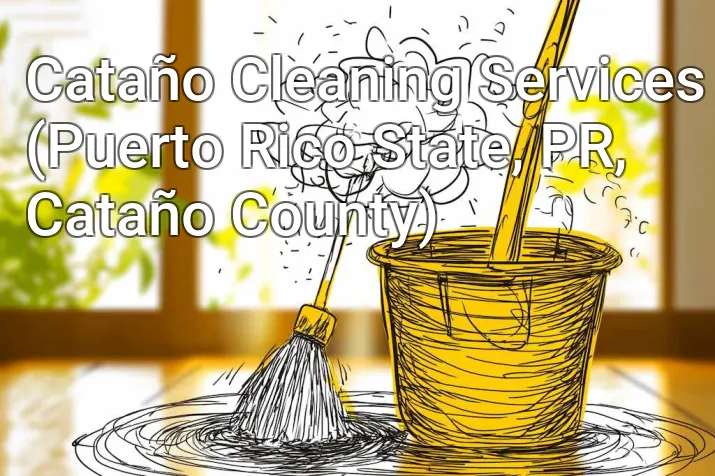 Cataño Cleaning Services (Puerto Rico State, PR, Cataño County)