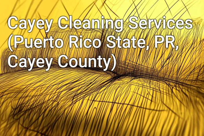 Cayey Cleaning Services (Puerto Rico State, PR, Cayey County)