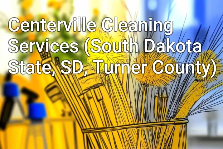 Centerville Cleaning Services (South Dakota State, SD, Turner County)