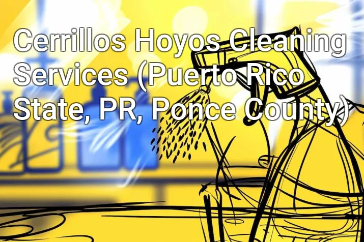 Cerrillos Hoyos Cleaning Services (Puerto Rico State, PR, Ponce County)