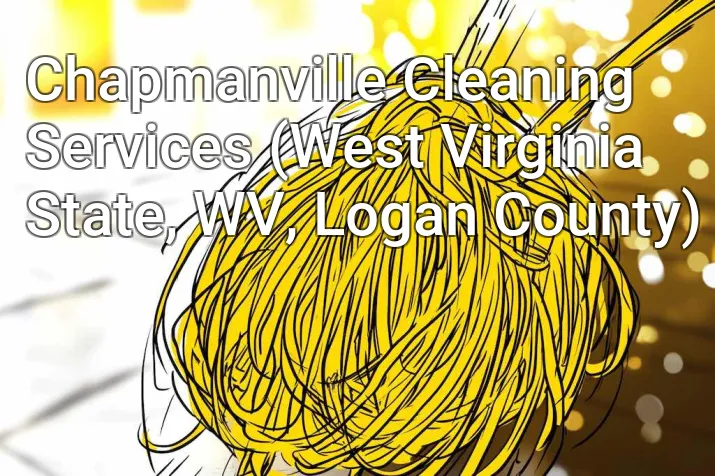 Chapmanville Cleaning Services (West Virginia State, WV, Logan County)