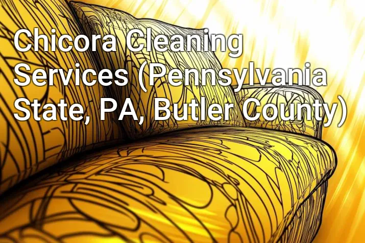 Chicora Cleaning Services (Pennsylvania State, PA, Butler County)