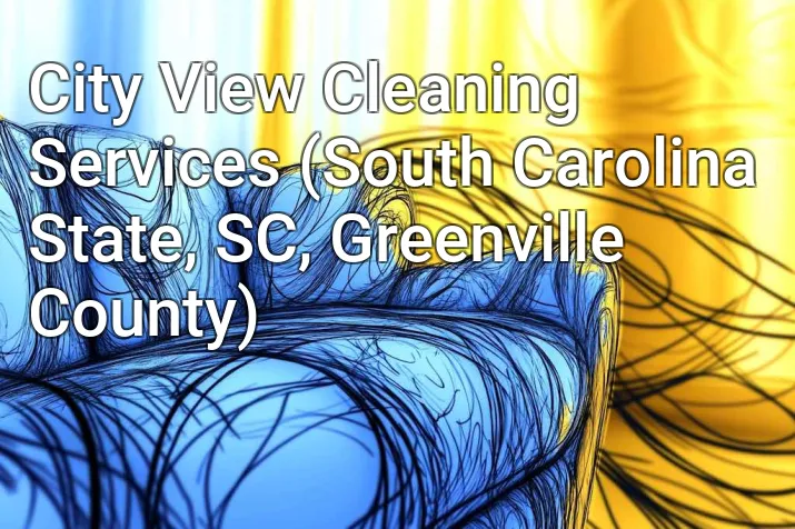 City View Cleaning Services (South Carolina State, SC, Greenville County)