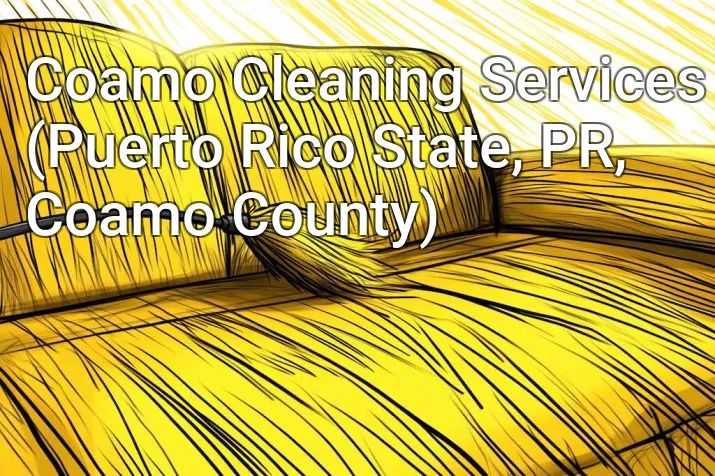 Coamo Cleaning Services (Puerto Rico State, PR, Coamo County)