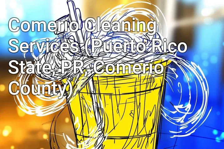 Comerío Cleaning Services (Puerto Rico State, PR, Comerío County)