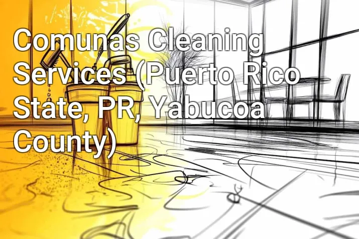 Comunas Cleaning Services (Puerto Rico State, PR, Yabucoa County)