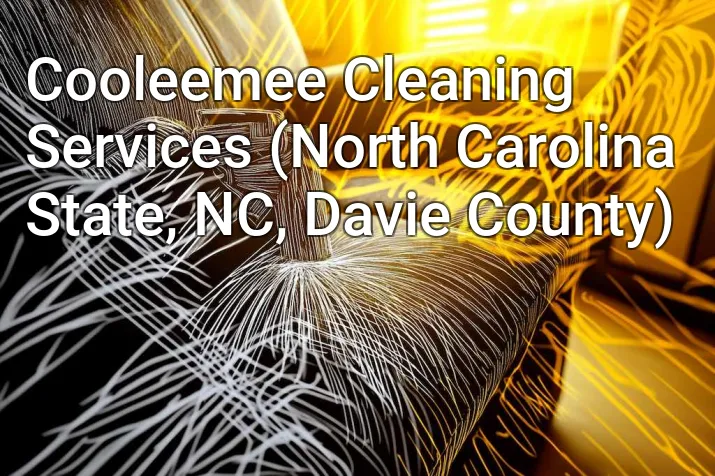 Cooleemee Cleaning Services (North Carolina State, NC, Davie County)