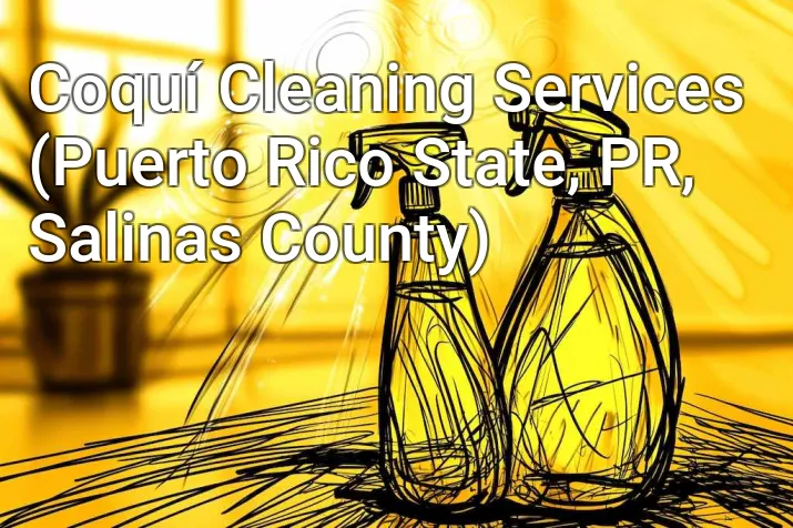 Coquí Cleaning Services (Puerto Rico State, PR, Salinas County)