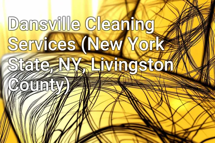 Dansville Cleaning Services (New York State, NY, Livingston County)