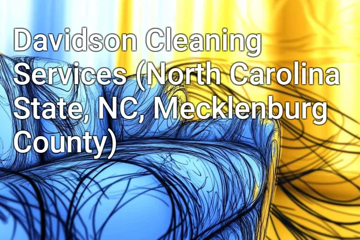 Davidson Cleaning Services (North Carolina State, NC, Mecklenburg County)