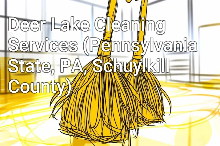 Deer Lake Cleaning Services (Pennsylvania State, PA, Schuylkill County)