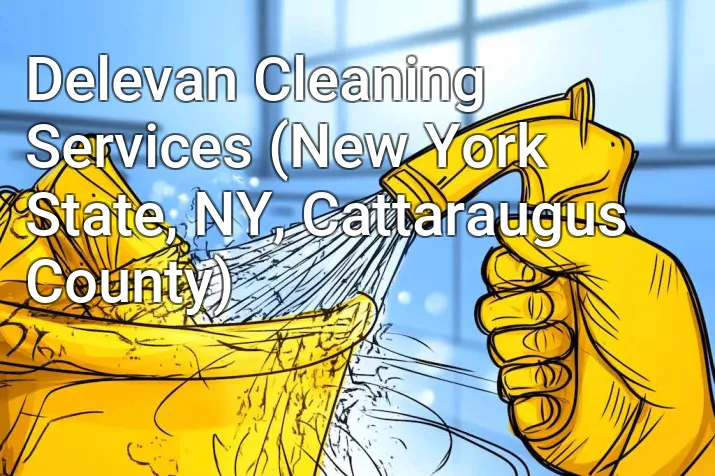 Delevan Cleaning Services (New York State, NY, Cattaraugus County)