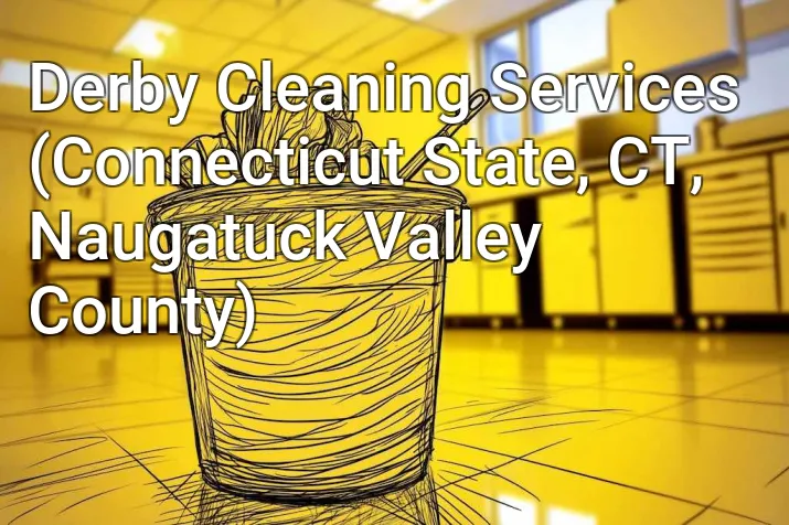 Derby Cleaning Services (Connecticut State, CT, Naugatuck Valley County)